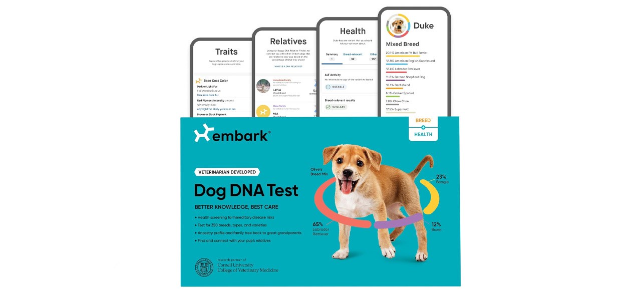 Embark Dog DNA Test Kit