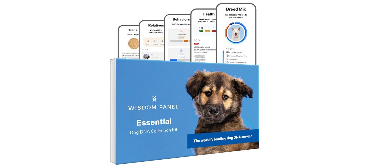 Wisdom Panel Essential Fundamental Dog DNA Test