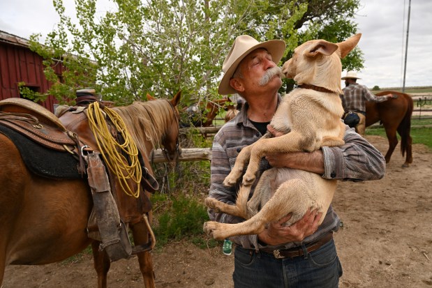 Duke Phiillips III picks up his new puppy Scoop after spending the day doing branding at Chico Basin Ranch on May 10, 2024. (Photo by Helen H. Richardson/The Denver Post)