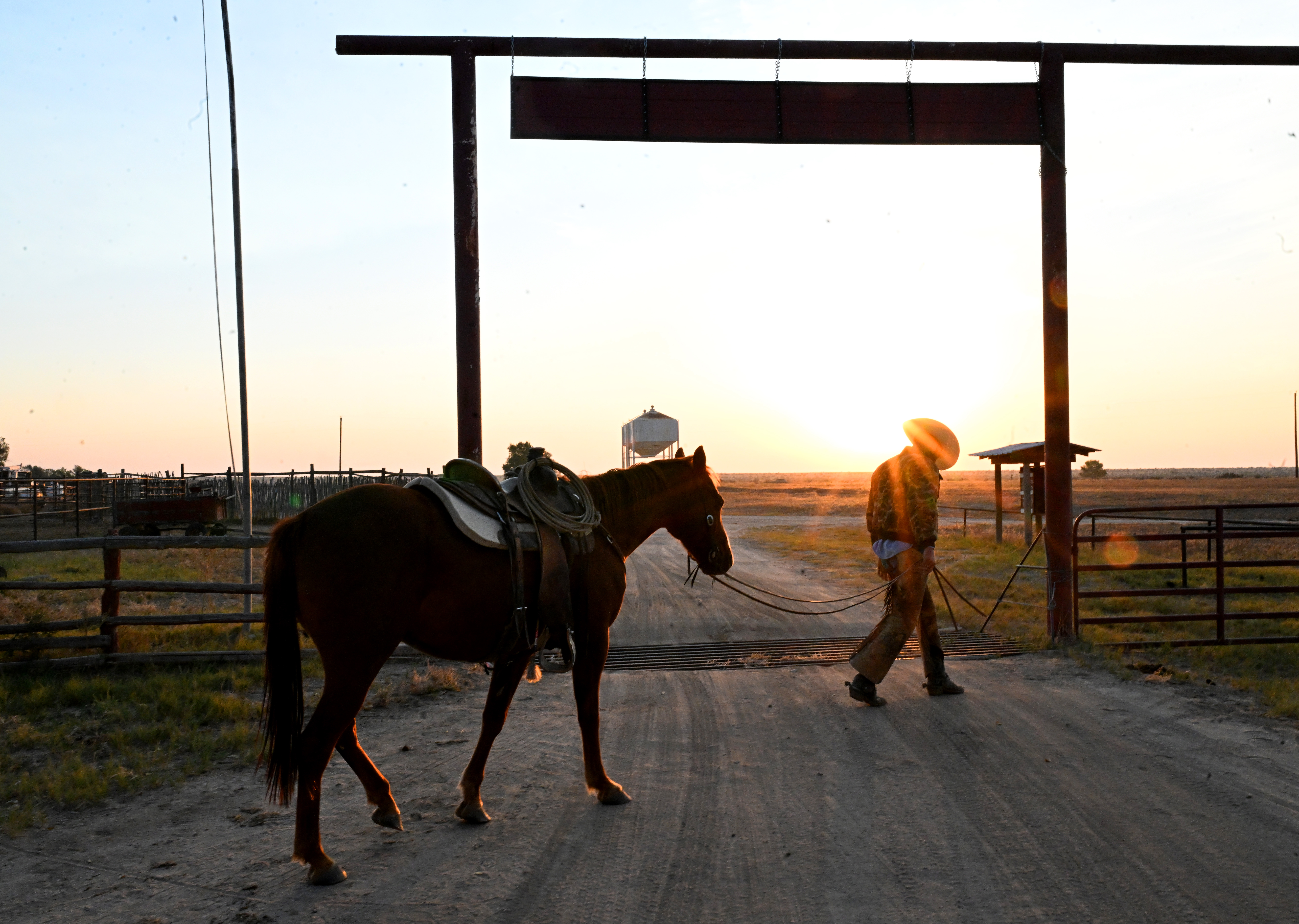 Apprentice Dylan Taylor leads his horse Bubbles towards a gate to get past a cattle guard near the front entrance to the Chico Basin Ranch on Oct. 8, 2024. He and his crew were heading out to move cattle from one pasture to another. (Photo by Helen H. Richardson/The Denver Post)