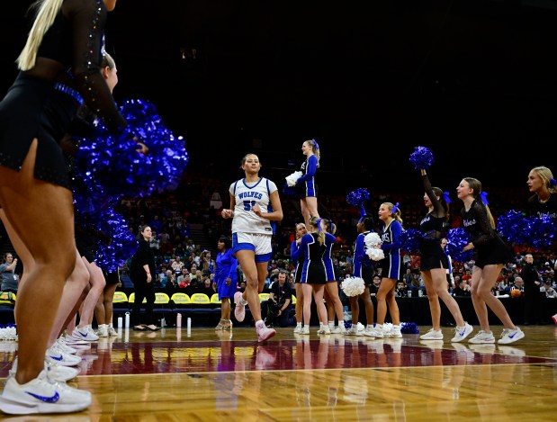 Sienna Betts (51) of the Grandview Wolves takes the court during introductions before in the state high school girls Class 6A championship game against the Legend Titans at the Denver Coliseum in Denver on Saturday, March 15, 2025. (Photo by Andy Cross/The Denver Post)