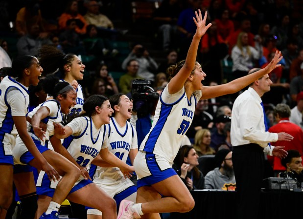 Sienna Betts (51) of the Grandview Wolves, right, and her teammates rush the court after defeating the Legend Titans 61-39, winning the state high school girls Class 6A championship game at the Denver Coliseum in Denver on Saturday, March 15, 2025. (Photo by Andy Cross/The Denver Post)